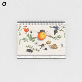 アートメモ帳-Natural History Ensemble, no. 16 - アンセルムス ボエティウス デ ブート Memo.