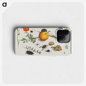2-9_Anselmus-Boetius-de-Boodt_phone