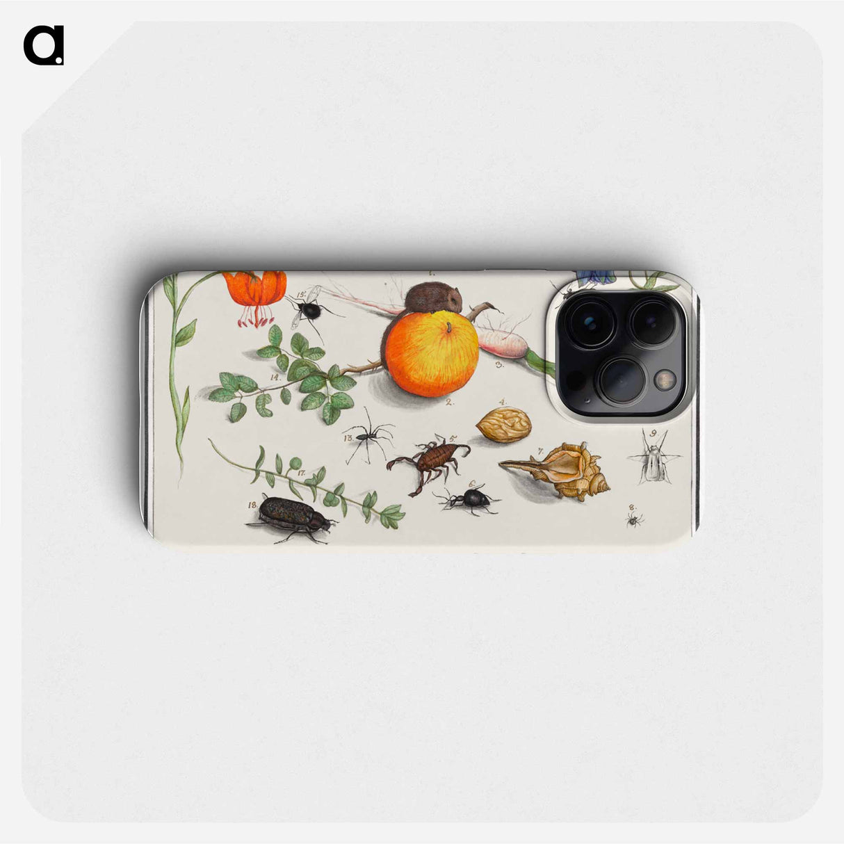 Natural History Ensemble, no. 16 - アンセルムス ボエティウス デ ブート Phone Case.