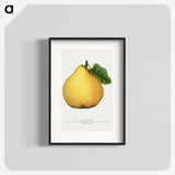 2-9_Botanical-Specimen-Plates_blk