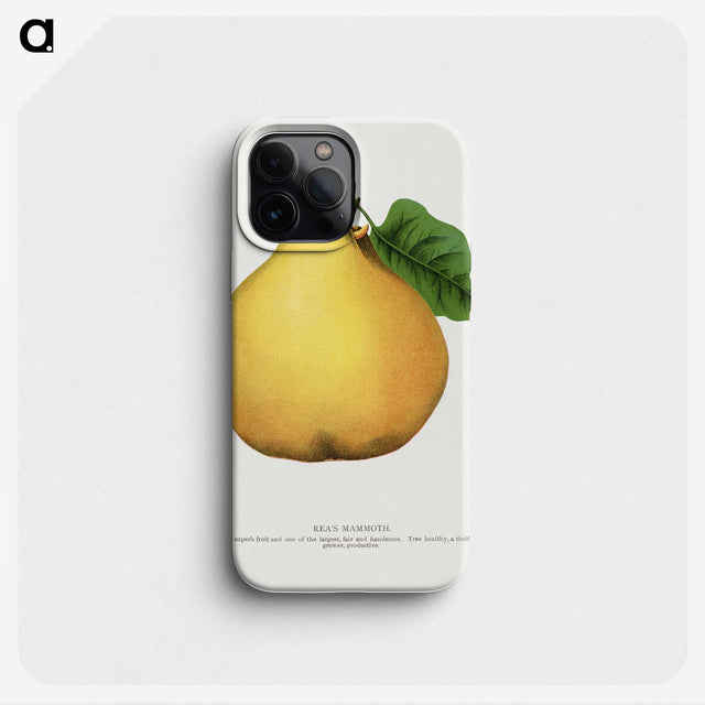 2-9_Botanical-Specimen-Plates_phone
