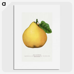 2-9_Botanical-Specimen-Plates_picture