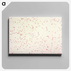 2-9_COVID-19_canvas