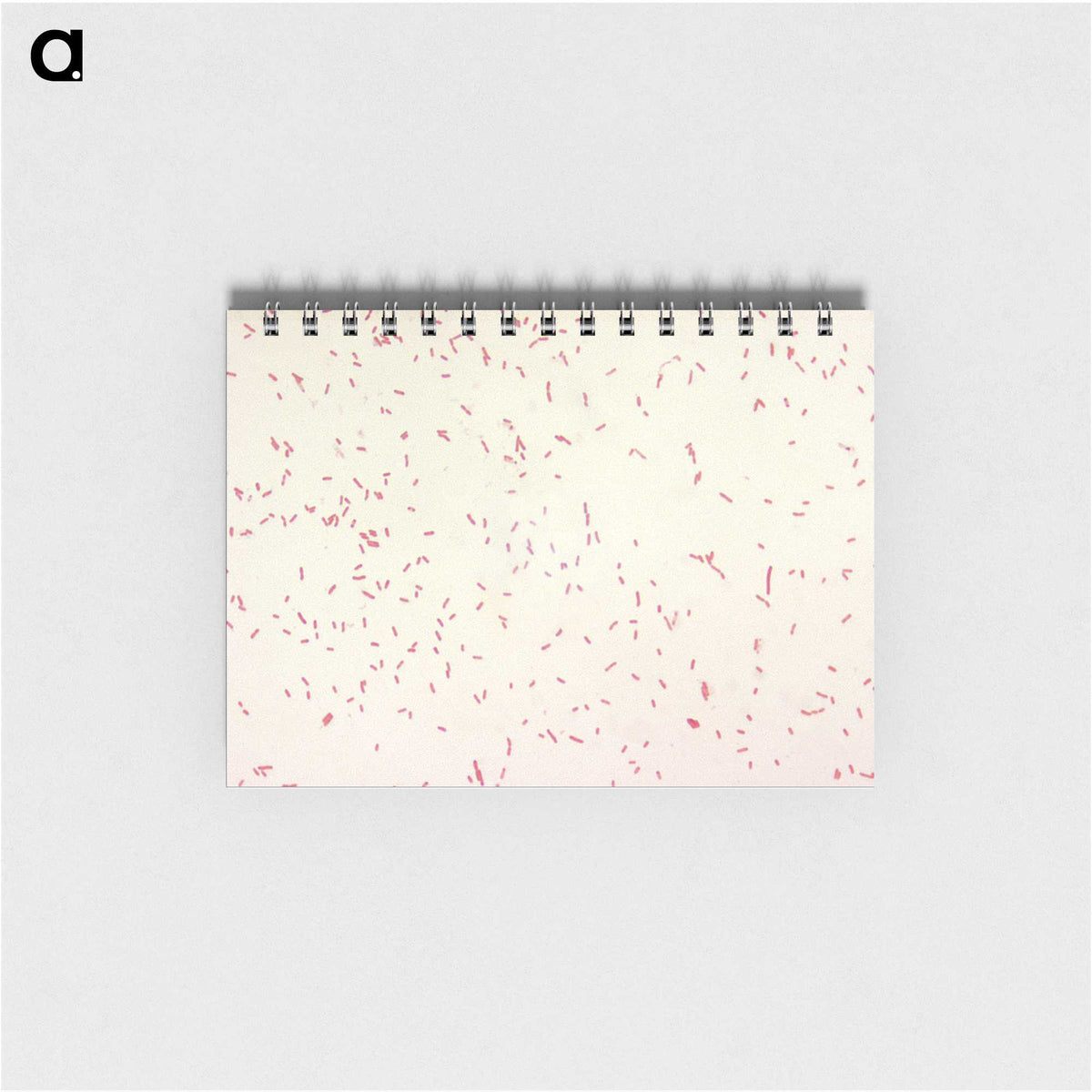 2-9_COVID-19_memo