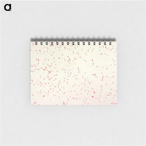 2-9_COVID-19_memo