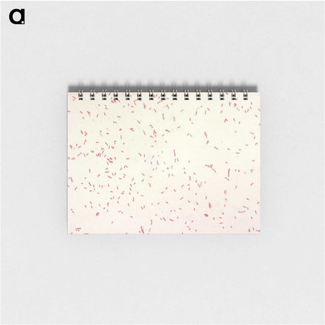 2-9_COVID-19_memo