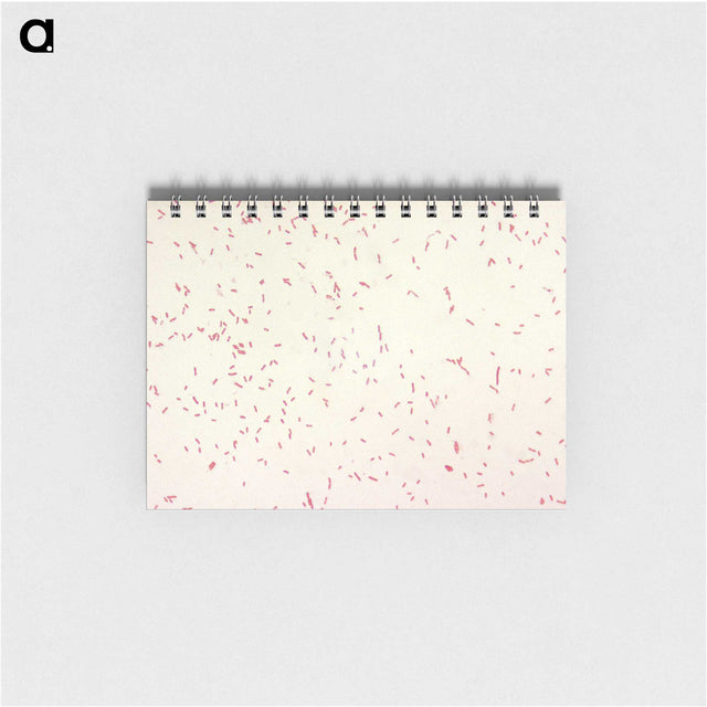 2-9_COVID-19_memo