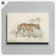 2-9_Charles-Hamilton-Smith_canvas