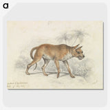 2-9_Charles-Hamilton-Smith_picture-crop