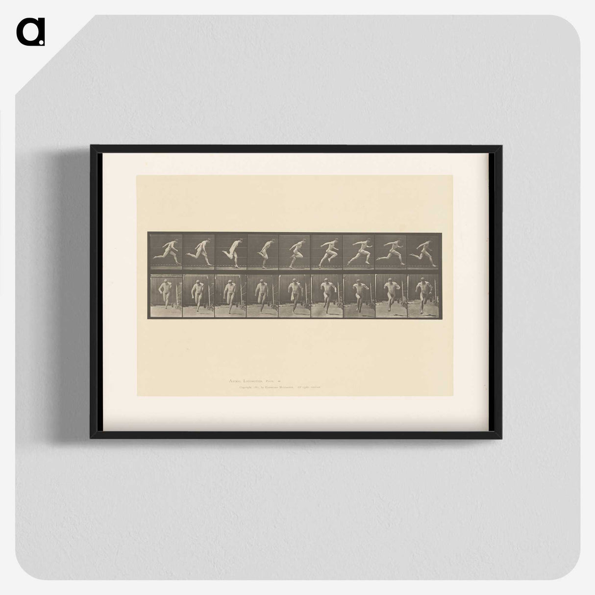 2-9_Eadweard-Muybridge_blk-crop