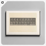 2-9_Eadweard-Muybridge_canvas