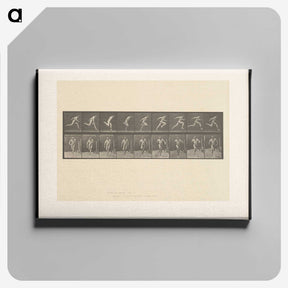 2-9_Eadweard-Muybridge_canvas