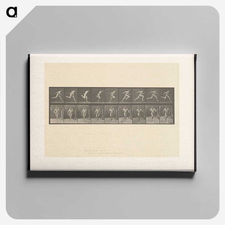 2-9_Eadweard-Muybridge_canvas
