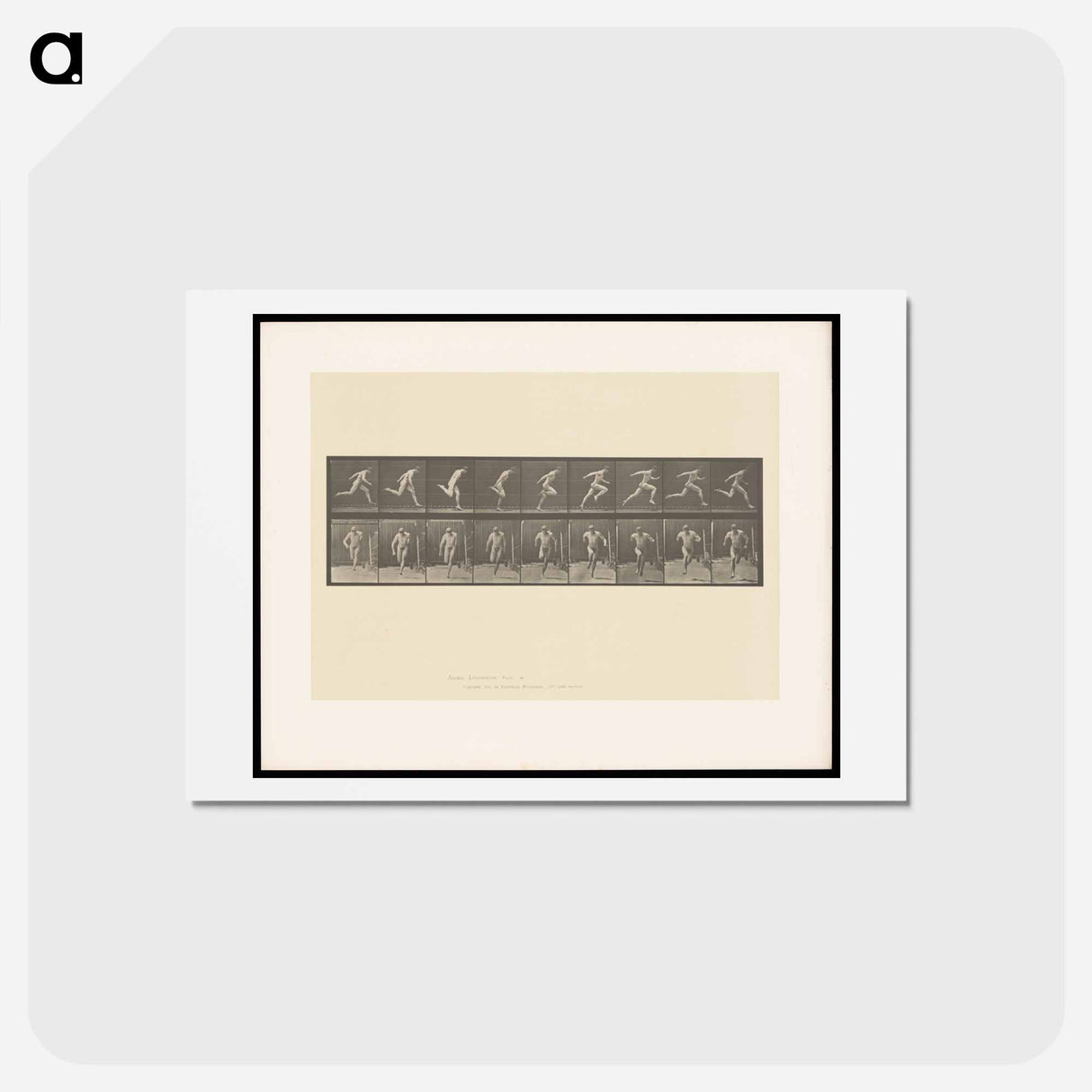 アートポストカード-Naked Man Running
 - エドワード マイブリッジ Postcard.