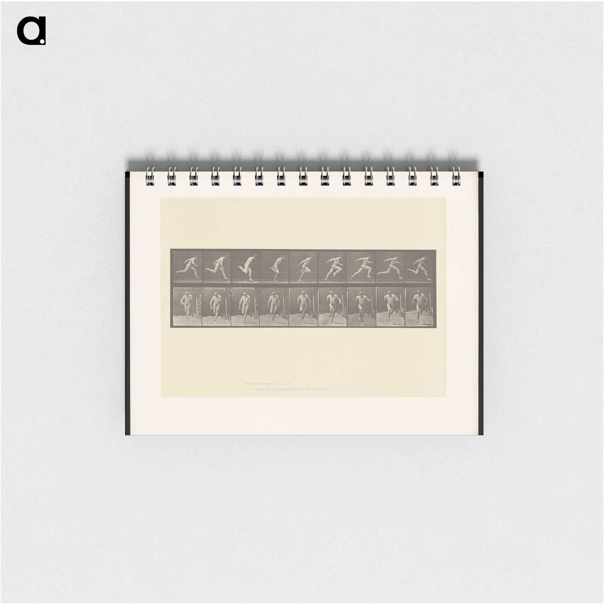 2-9_Eadweard-Muybridge_memo