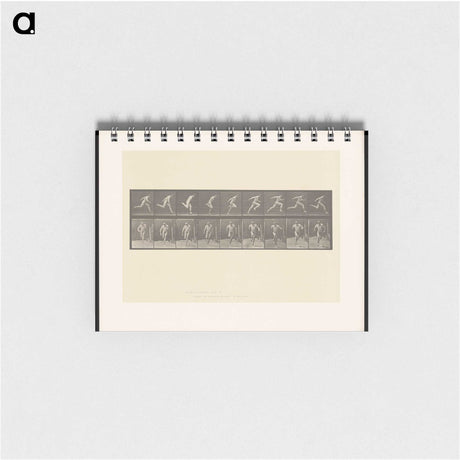 2-9_Eadweard-Muybridge_memo