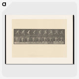 2-9_Eadweard-Muybridge_picture-crop