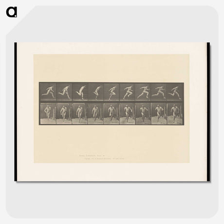 2-9_Eadweard-Muybridge_picture-crop