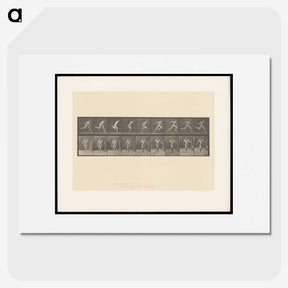 2-9_Eadweard-Muybridge_picture