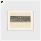 アートポストカード-Naked Man Running
 - エドワード マイブリッジ Postcard.