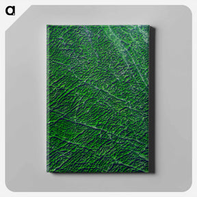 アートパネル-Guangxi Province, China, from Space
 - 上空からの地球 Canvas.