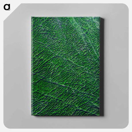 アートパネル-Guangxi Province, China, from Space
 - 上空からの地球 Canvas.