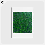 アートポストカード-Guangxi Province, China, from Space
 - 上空からの地球 Postcard.