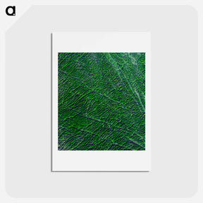 アートポストカード-Guangxi Province, China, from Space
 - 上空からの地球 Postcard.