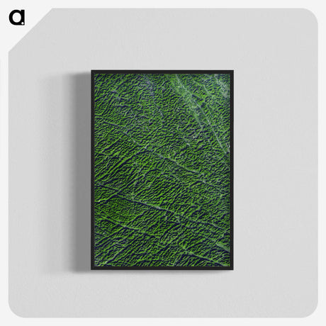 2-9_Earth-from-Above_blk-crop