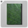 2-9_Earth-from-Above_canvas
