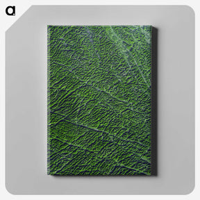 2-9_Earth-from-Above_canvas