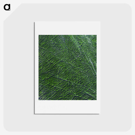 2-9_Earth-from-Above_hagaki