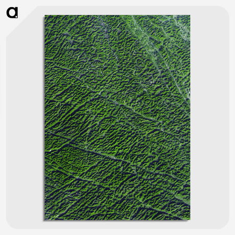 2-9_Earth-from-Above_picture-crop