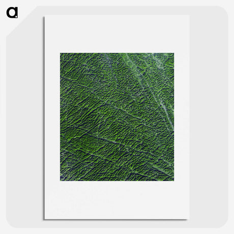 2-9_Earth-from-Above_picture