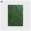 2-9_Earth-from-Above_postcard