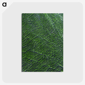 2-9_Earth-from-Above_postcard