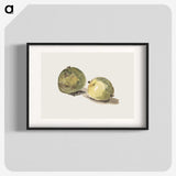 2-9_Edouard-Manet_blk