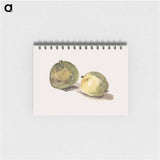 A Letter to Eugène Maus, Decorated with Two Apples - エドゥアール マネ Memo.