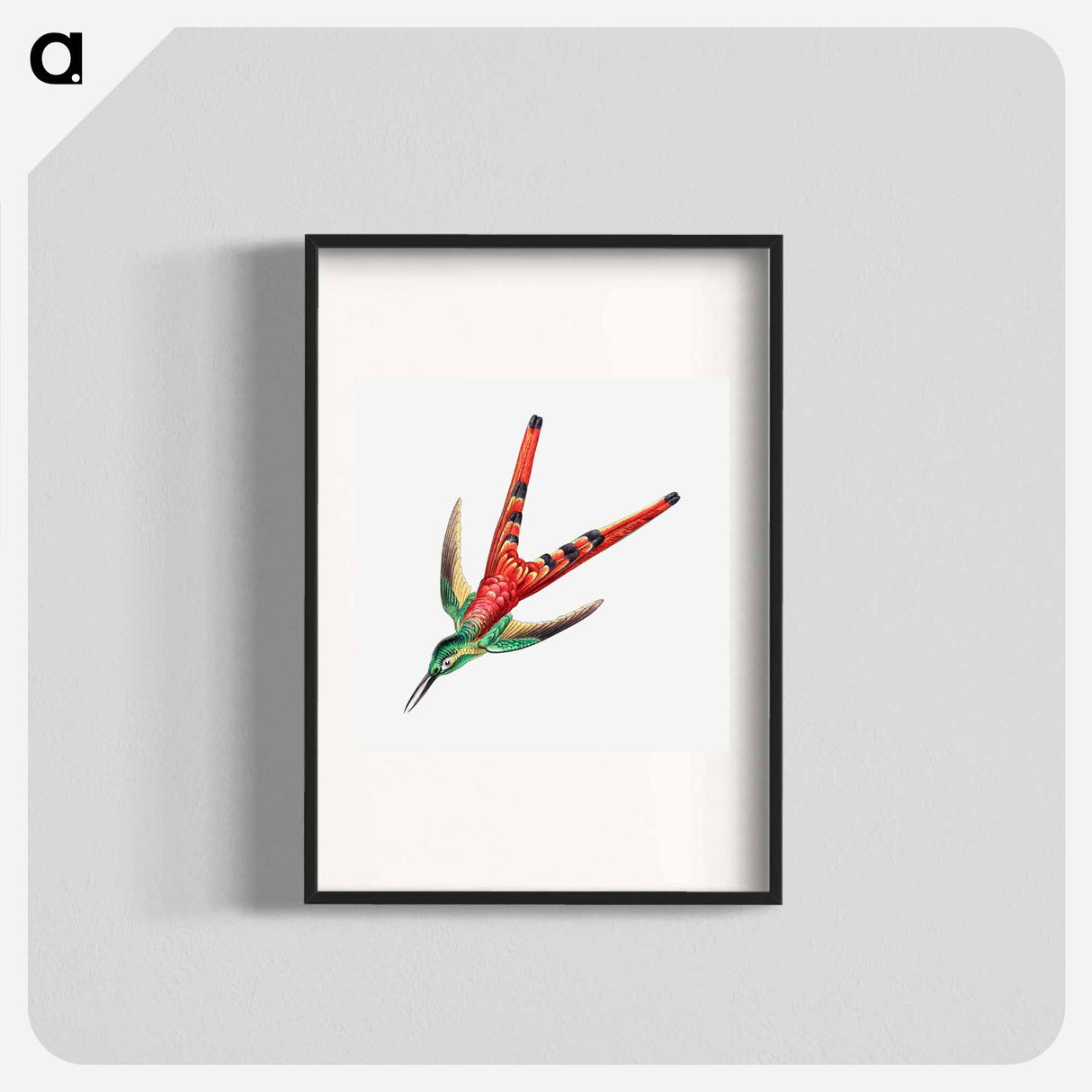 Colorful vintage hummingbird illustration - エルンスト ヘッケル Poster.