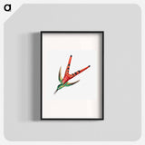 Colorful vintage hummingbird illustration - エルンスト ヘッケル Poster.