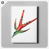 Colorful vintage hummingbird illustration - エルンスト ヘッケル Canvas.