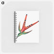 アートメモ帳-Colorful vintage hummingbird illustration - エルンスト ヘッケル Memo.