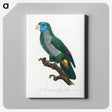 2-9_Francois-Levaillant_canvas