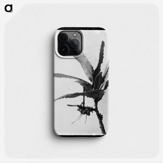 2-9_Frederick-Charles-Brockett_phone