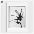 2-9_Frederick-Charles-Brockett_picture
