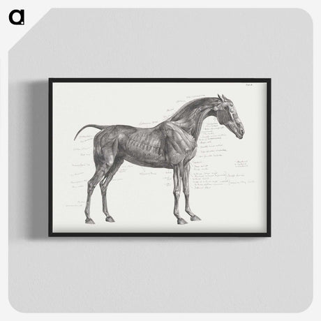 2-9_George-Stubbs_blk-crop