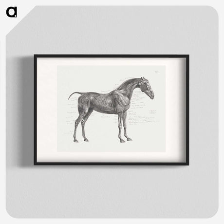 2-9_George-Stubbs_blk