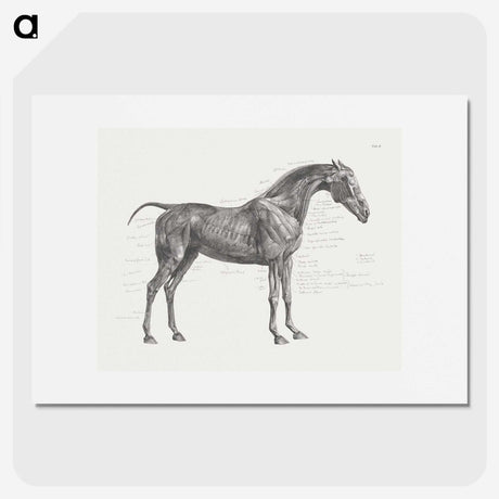 2-9_George-Stubbs_picture