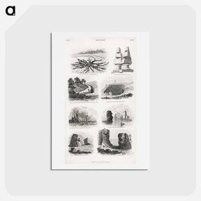 アートポストカード-Geology
 - ゴールドスミスの生き生きとした自然 Postcard.