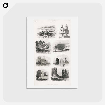 Geology
 - ゴールドスミスの生き生きとした自然 Postcard.
